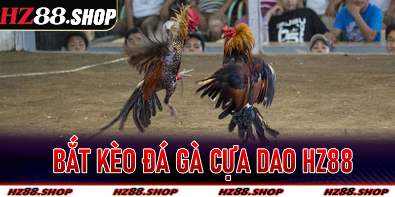 Bắt Kèo Đá Gà Cựa Dao Hz88