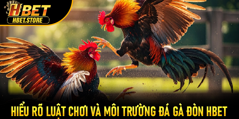 Hiểu rõ luật chơi và môi trường Đá Gà Đòn Hbet
