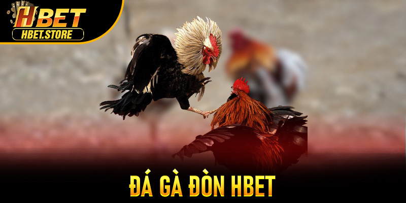 Đá Gà Đòn Hbet